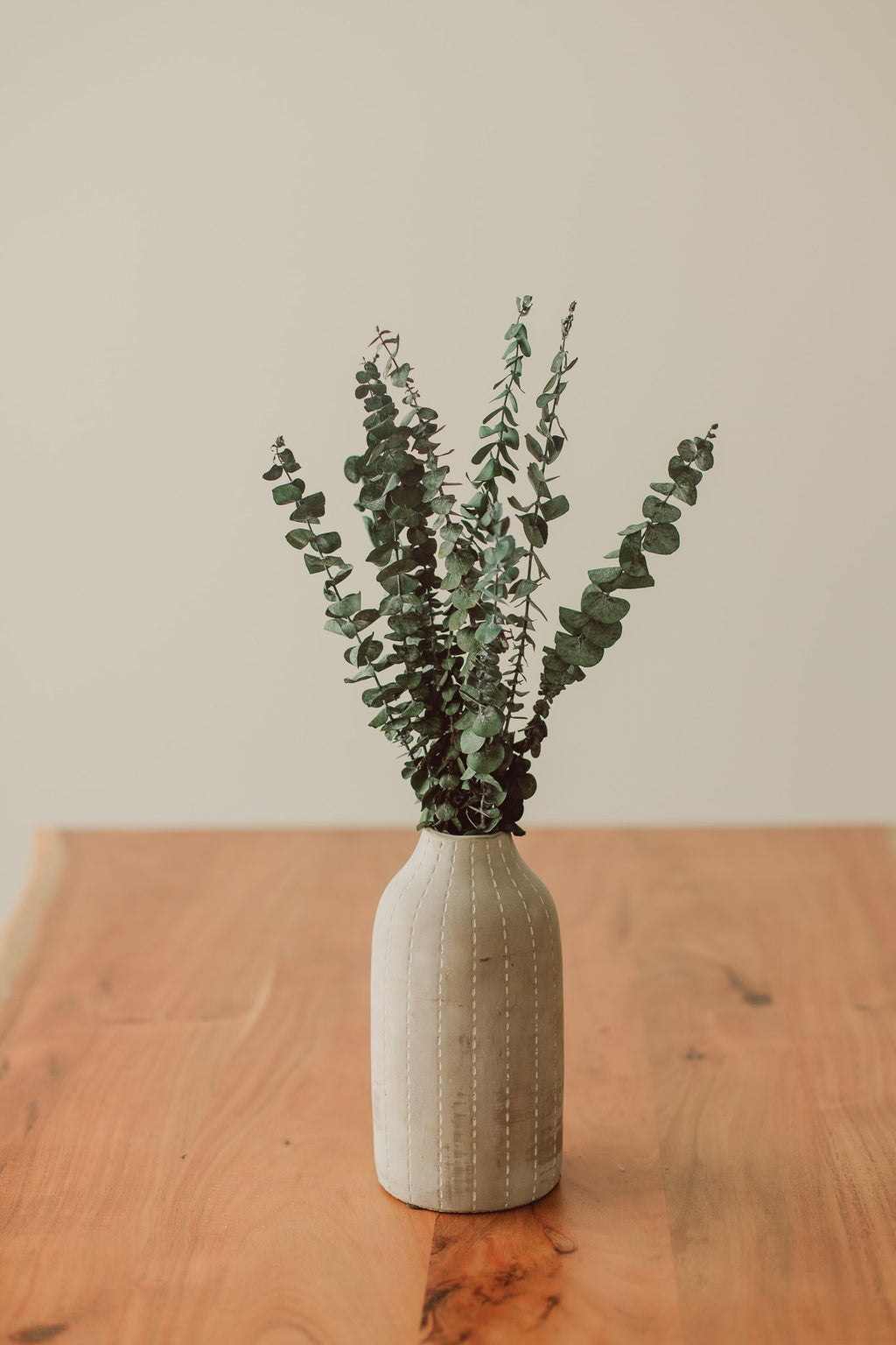 Eucalyptus Stem | Bundle