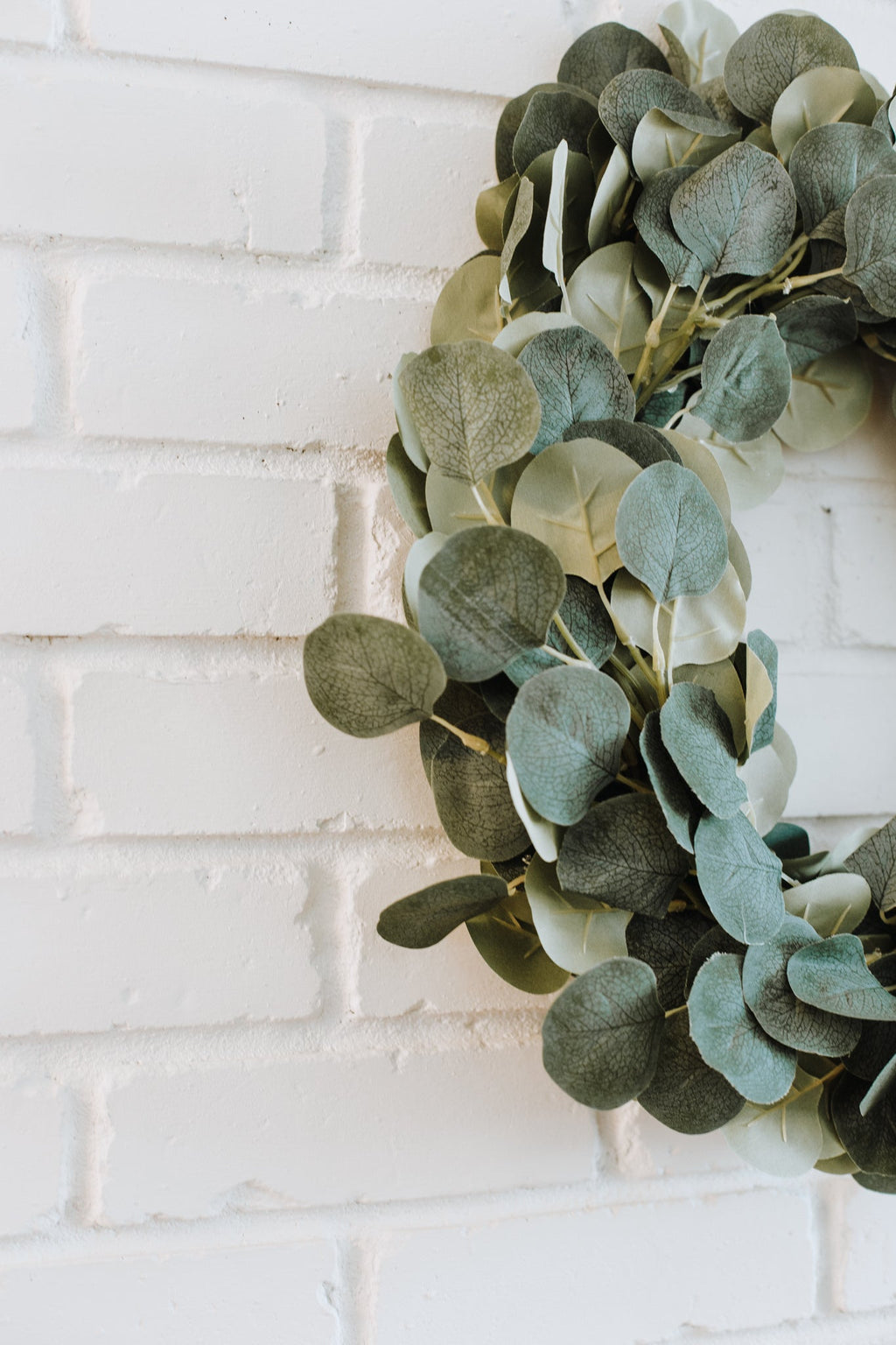 Eucalyptus | DIY Wreath Kit