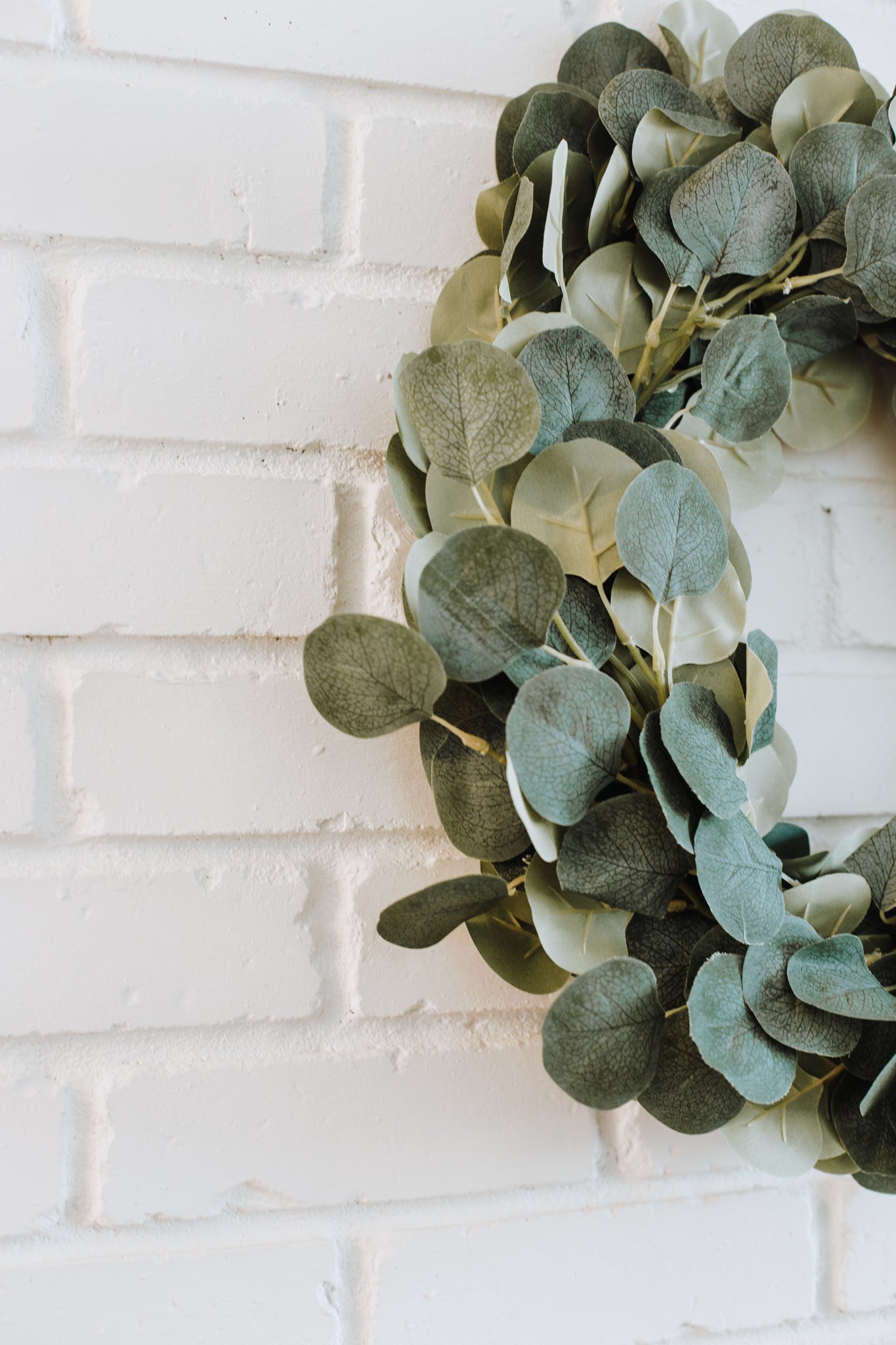 Eucalyptus | DIY Wreath Kit