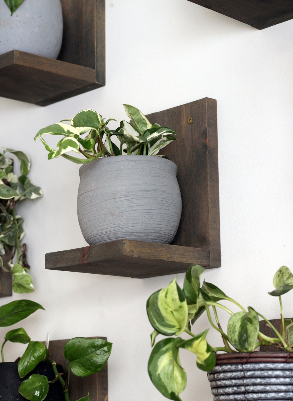 Wall Mounted Solid Wood Plant Shelf | Dusk Grey (Set of 3)