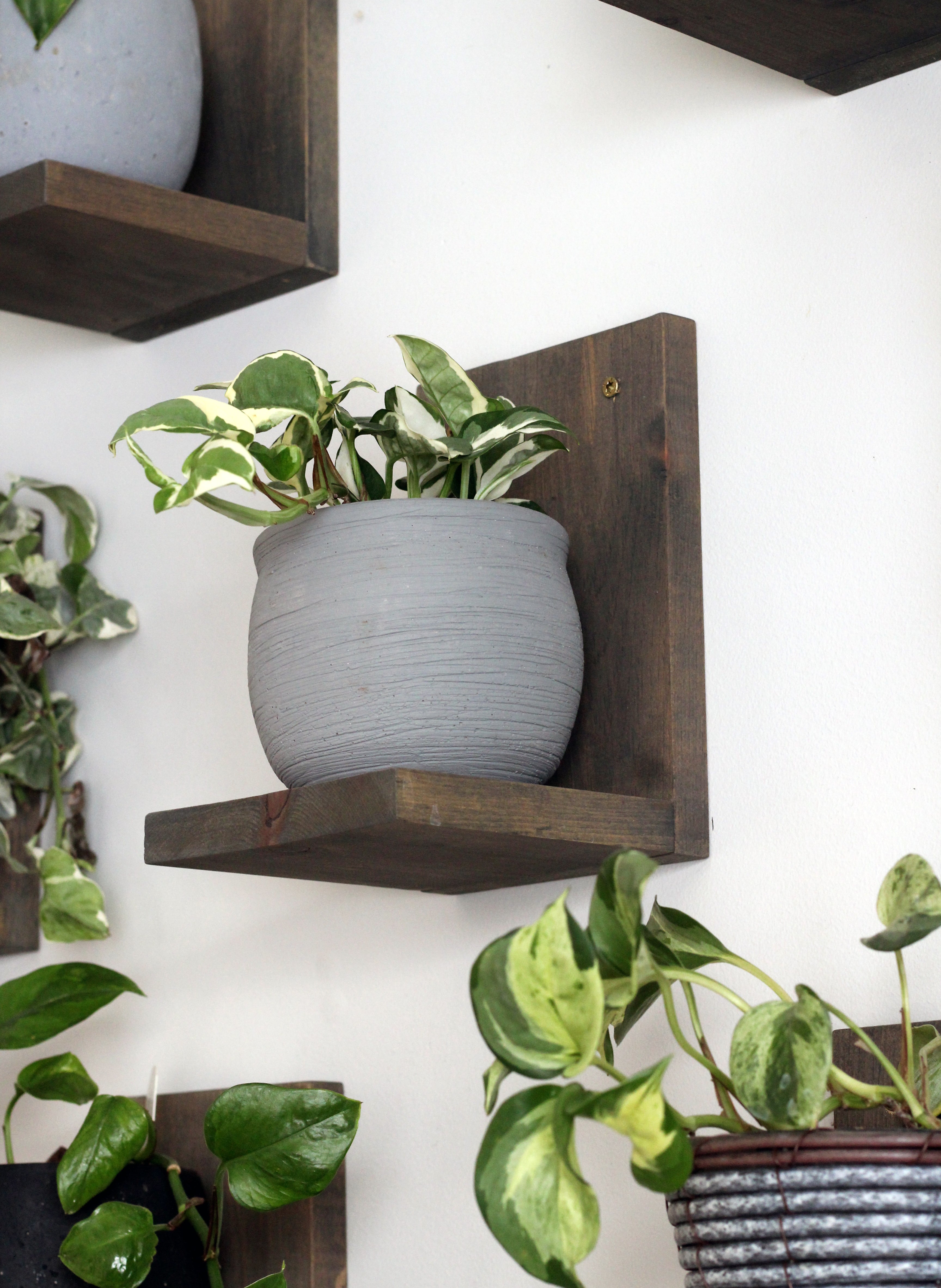 Wall Mounted Solid Wood Plant Shelf | Dusk Grey (Set of 3)