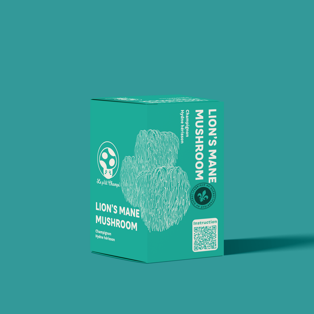 Lion's Mane | Mushroom Kit