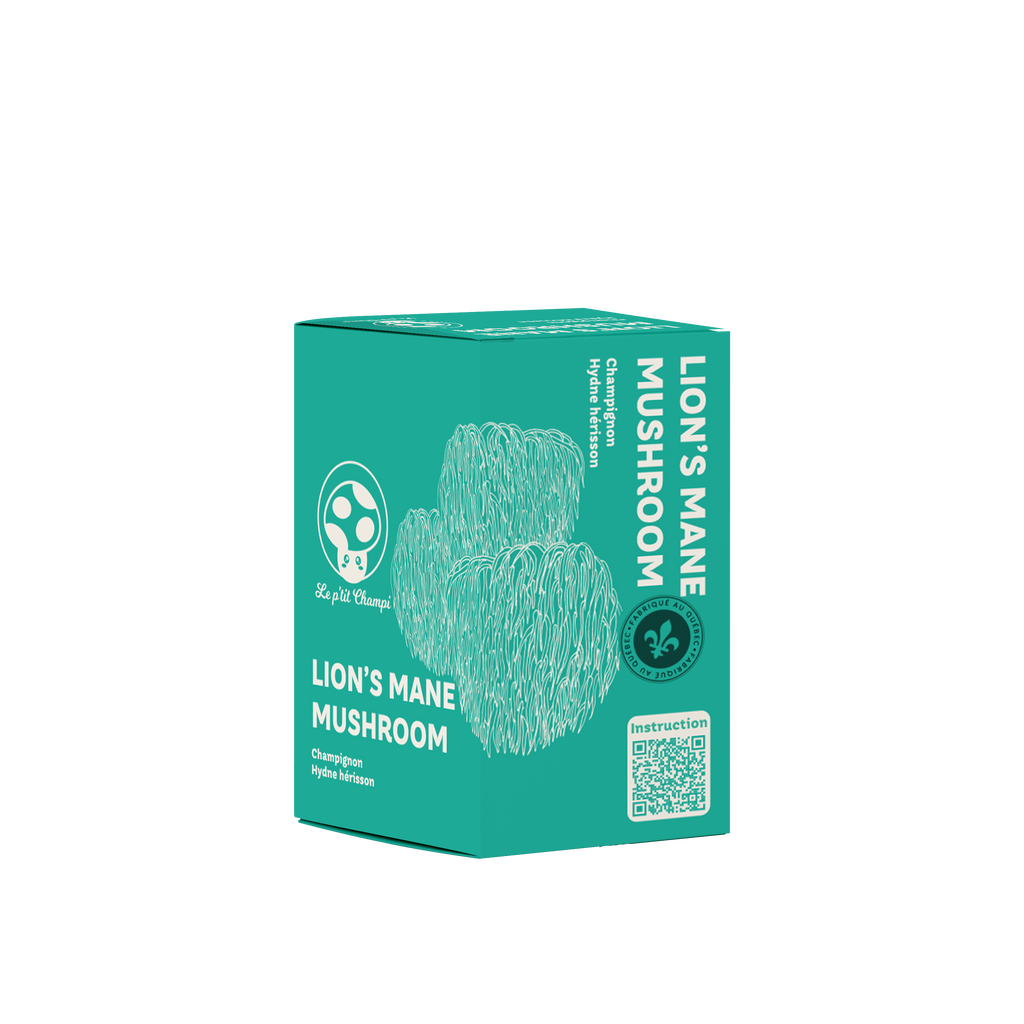 Lion's Mane | Mushroom Kit