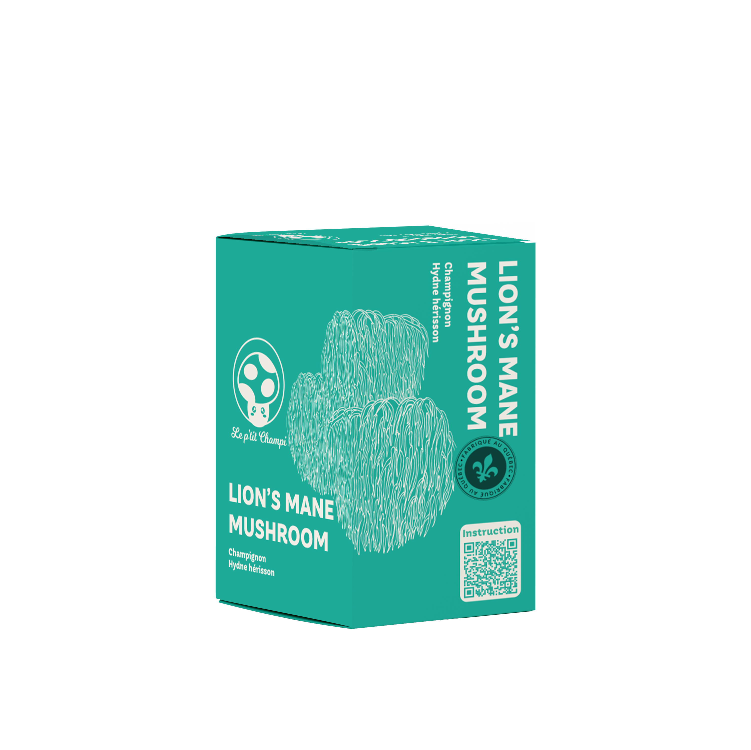 Lion's Mane | Mushroom Kit