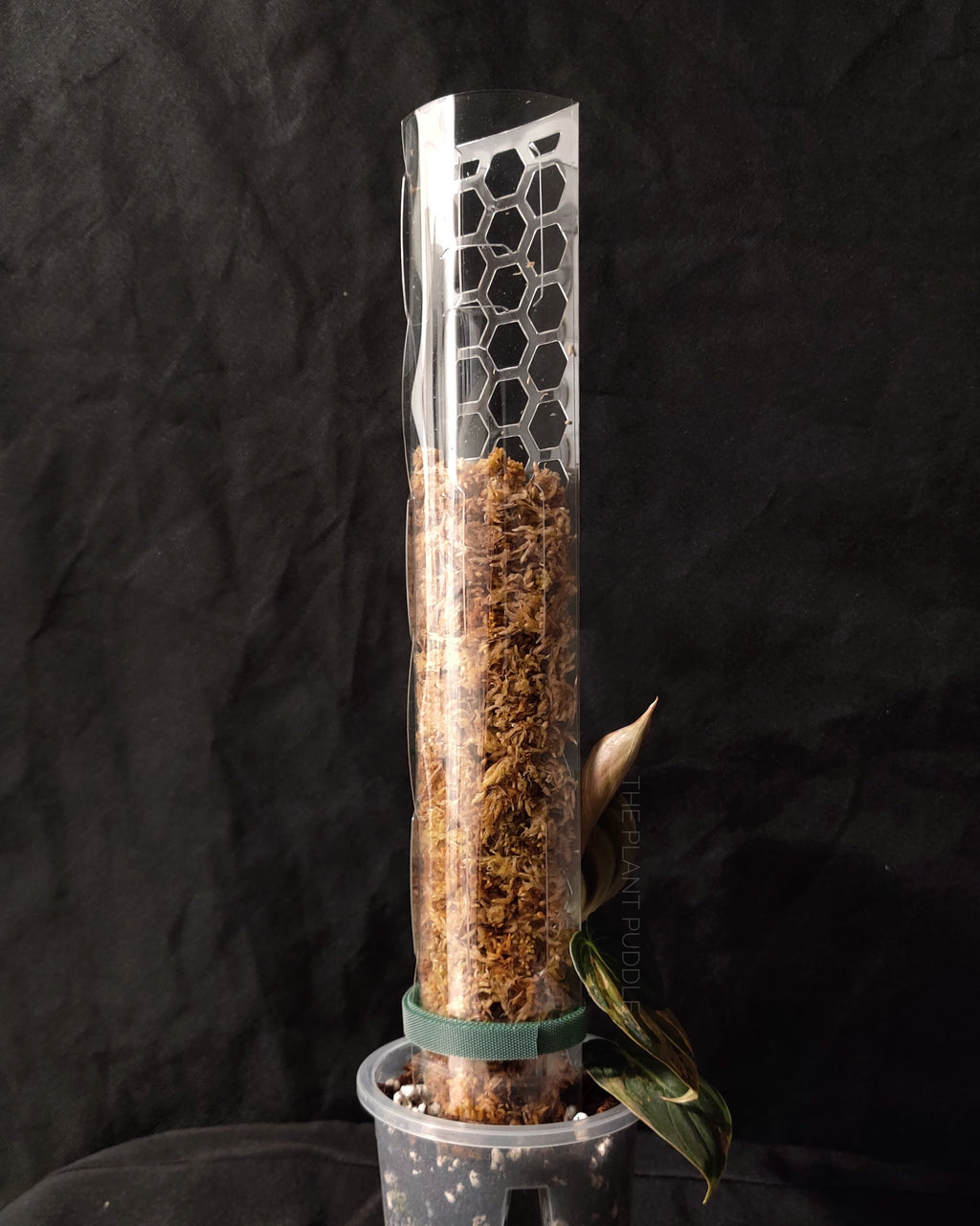 Moss Pole | Super Clear and Stackable