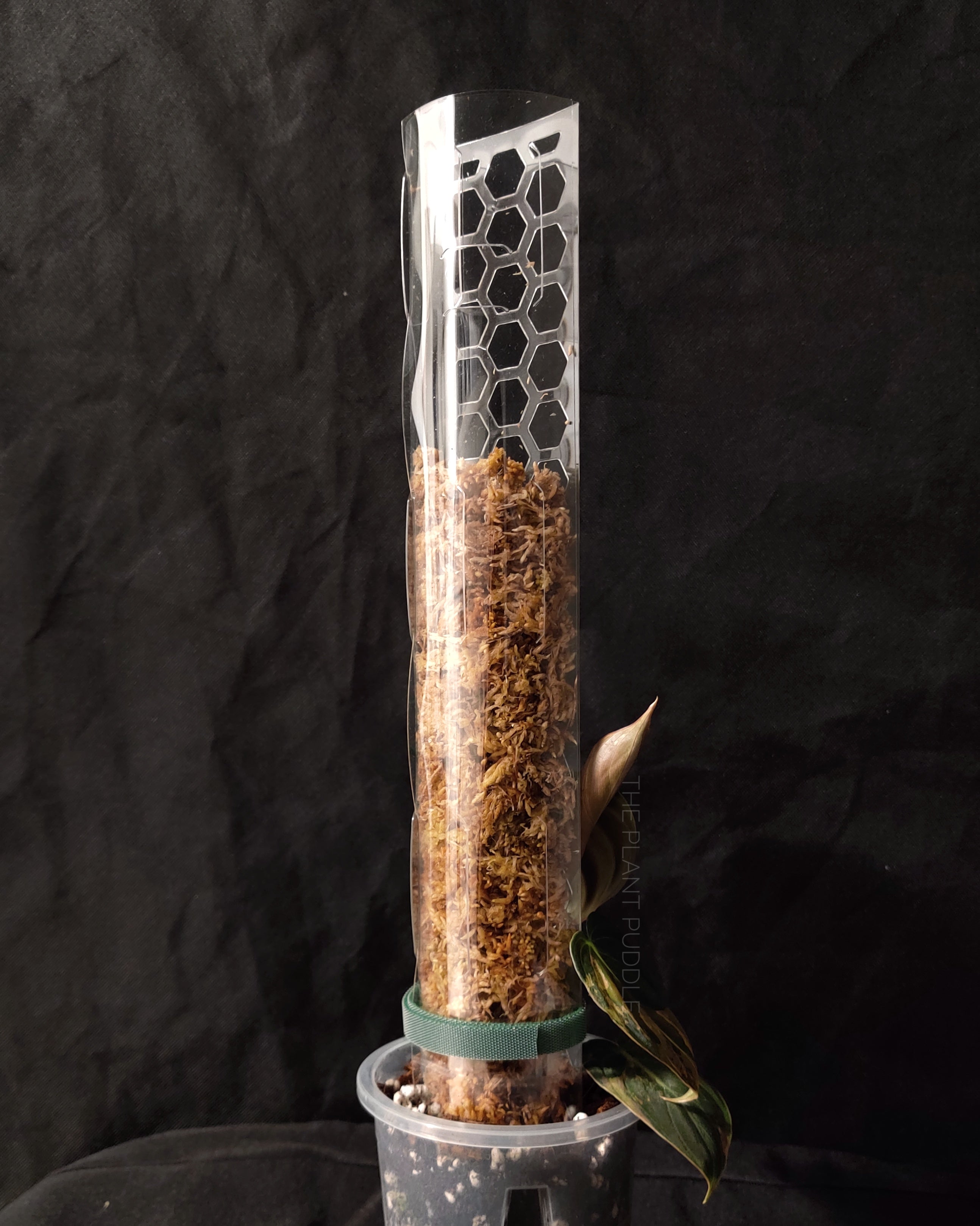 Moss Pole | Super Clear and Stackable