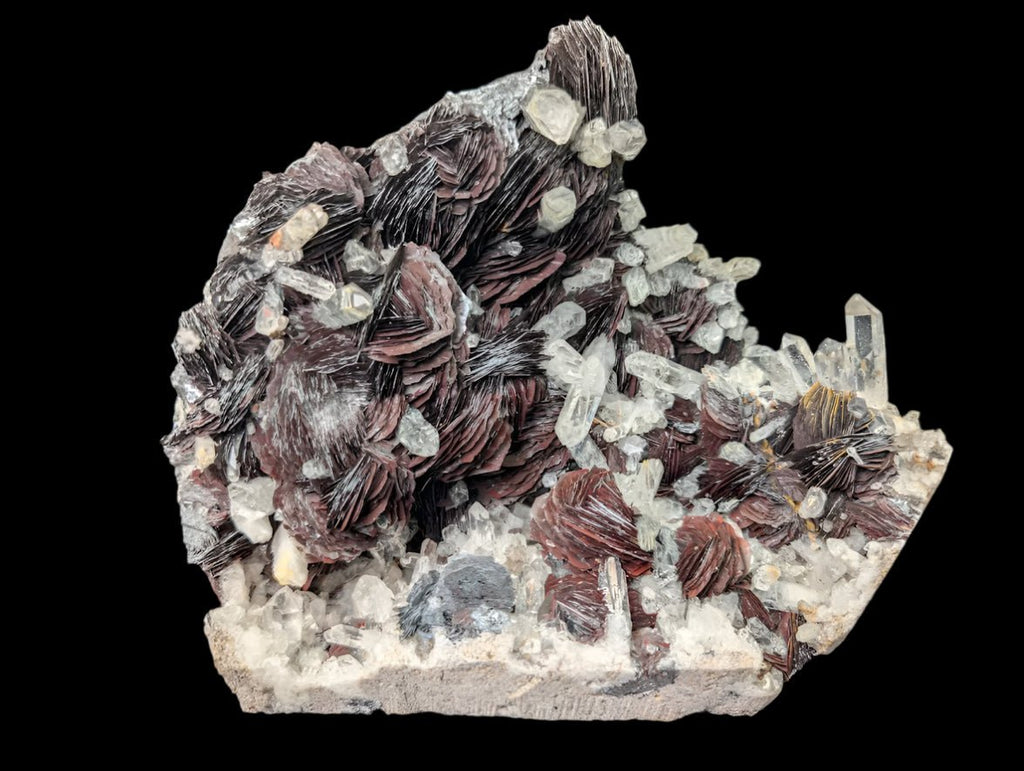 Magnetic Iron Rose Hematite with Quartz | Museum Grade | Jinlong Hill, Guangdong, China
