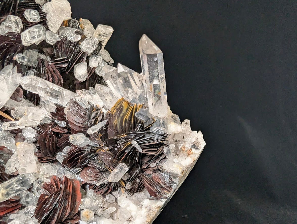 Magnetic Iron Rose Hematite with Quartz | Museum Grade | Jinlong Hill, Guangdong, China