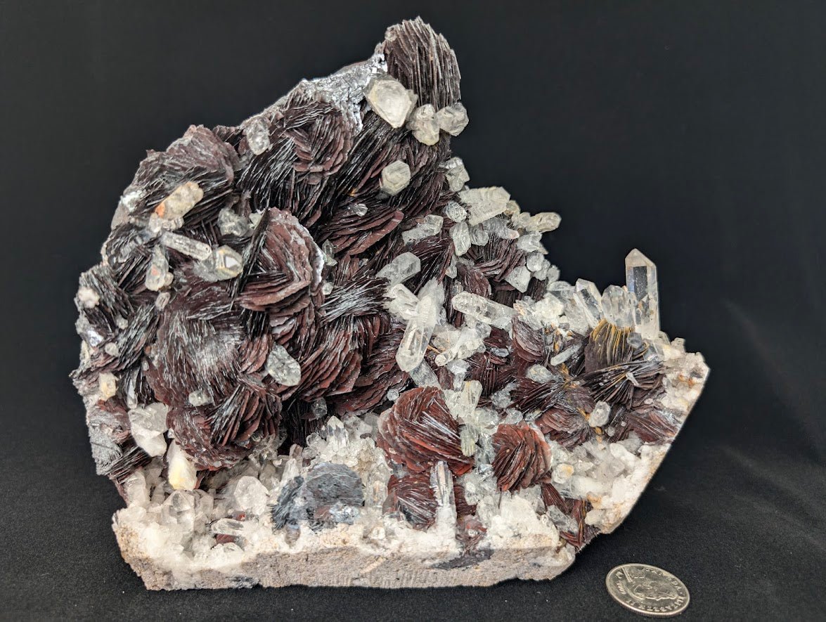 Magnetic Iron Rose Hematite with Quartz | Museum Grade | Jinlong Hill, Guangdong, China