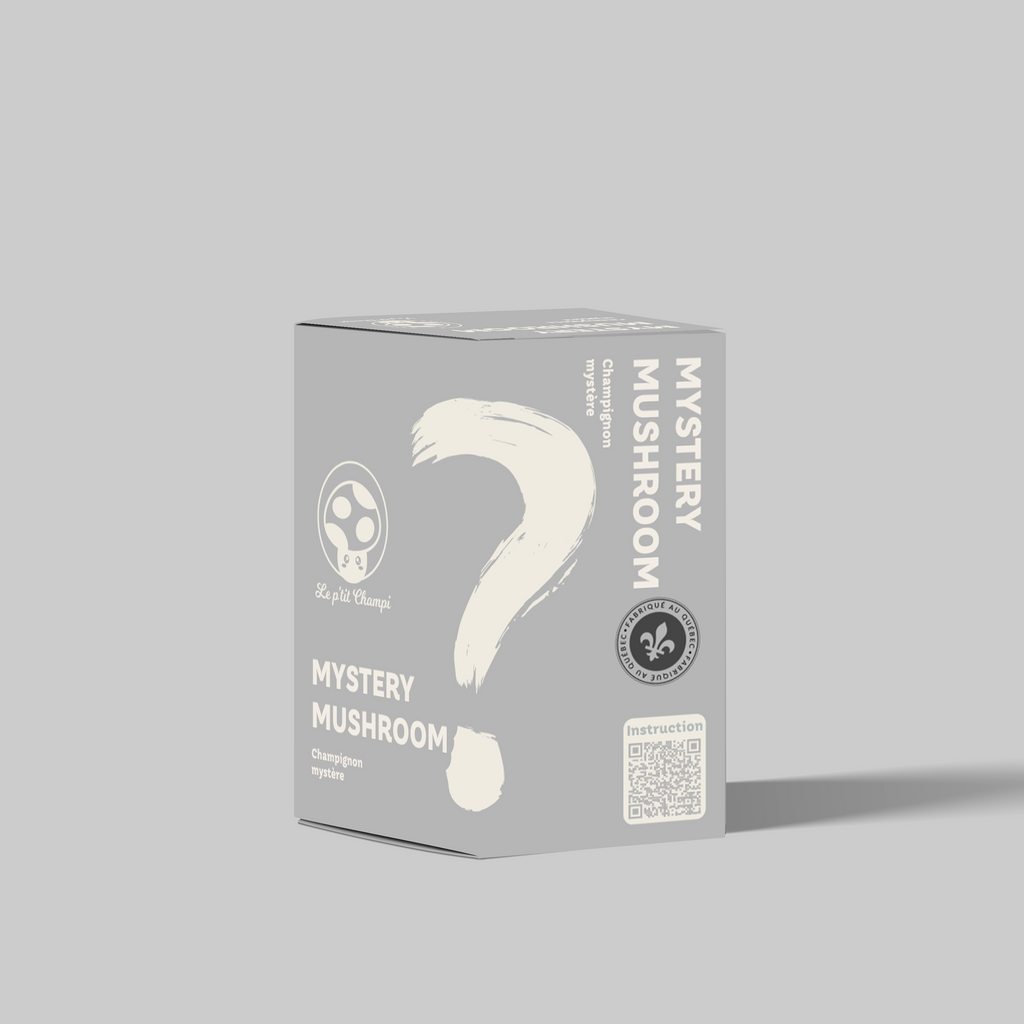 Mystery | Mushroom Kit