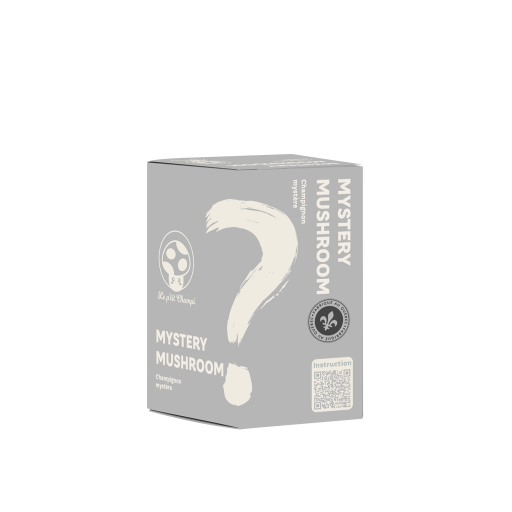 Mystery | Mushroom Kit