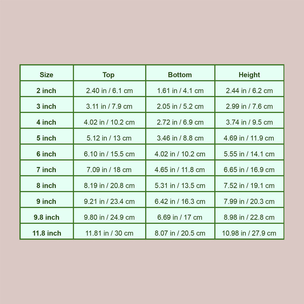 Round Clear Plant Pot | 10 Sizes with Drainage