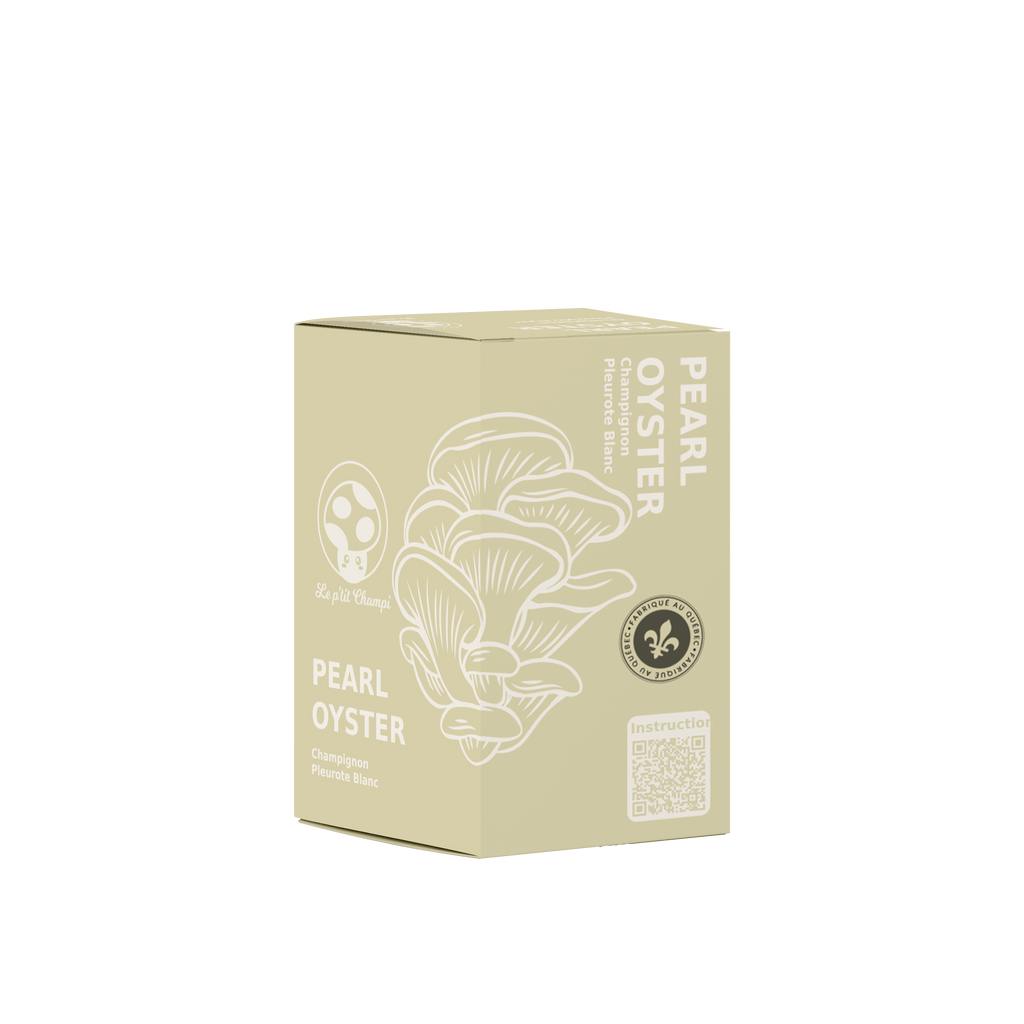 Pearl Oyster | Mushroom Kit