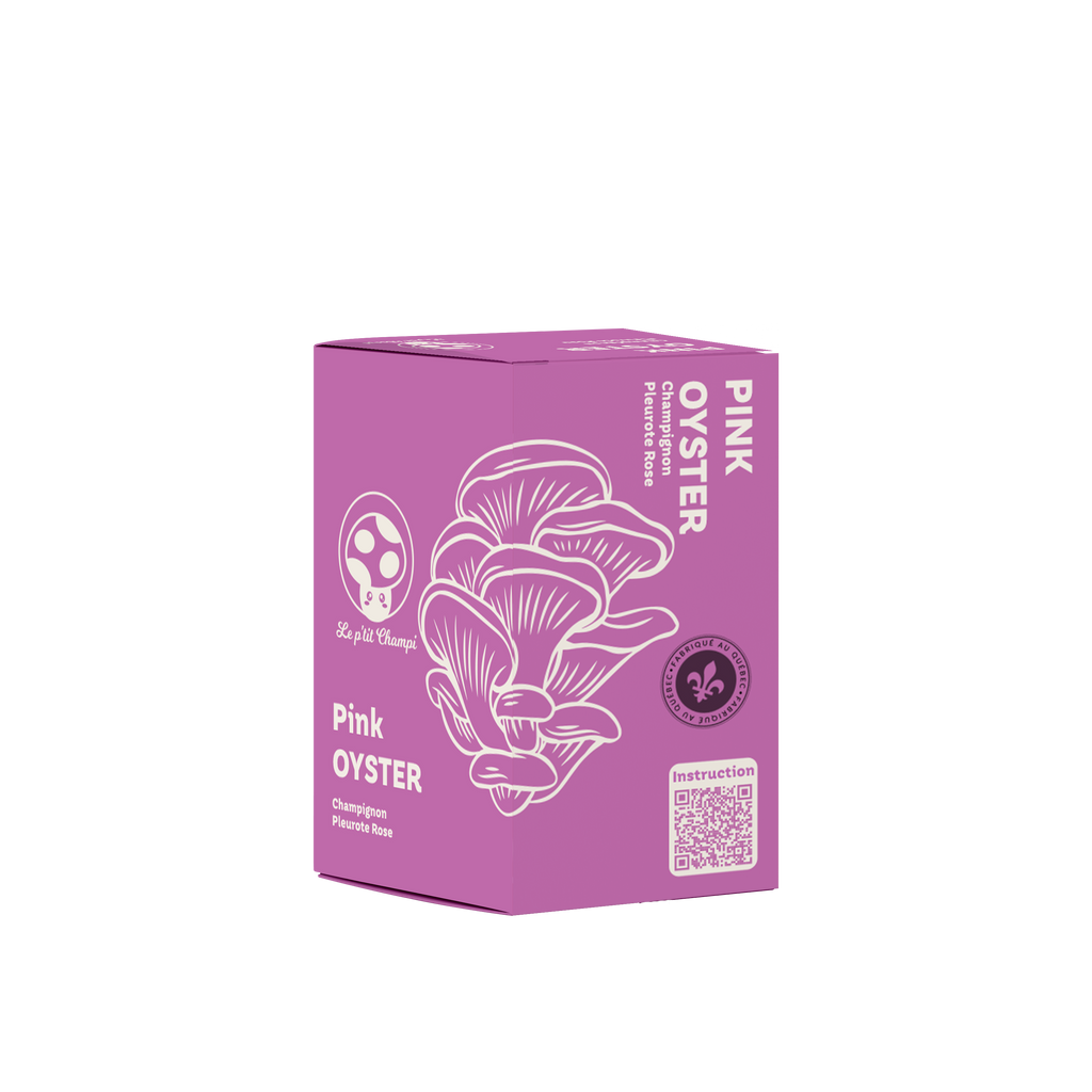 Pink Oyster | Mushroom Kit