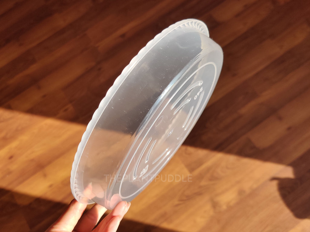Round Plant Pot Saucers | Durable Translucent Plastic