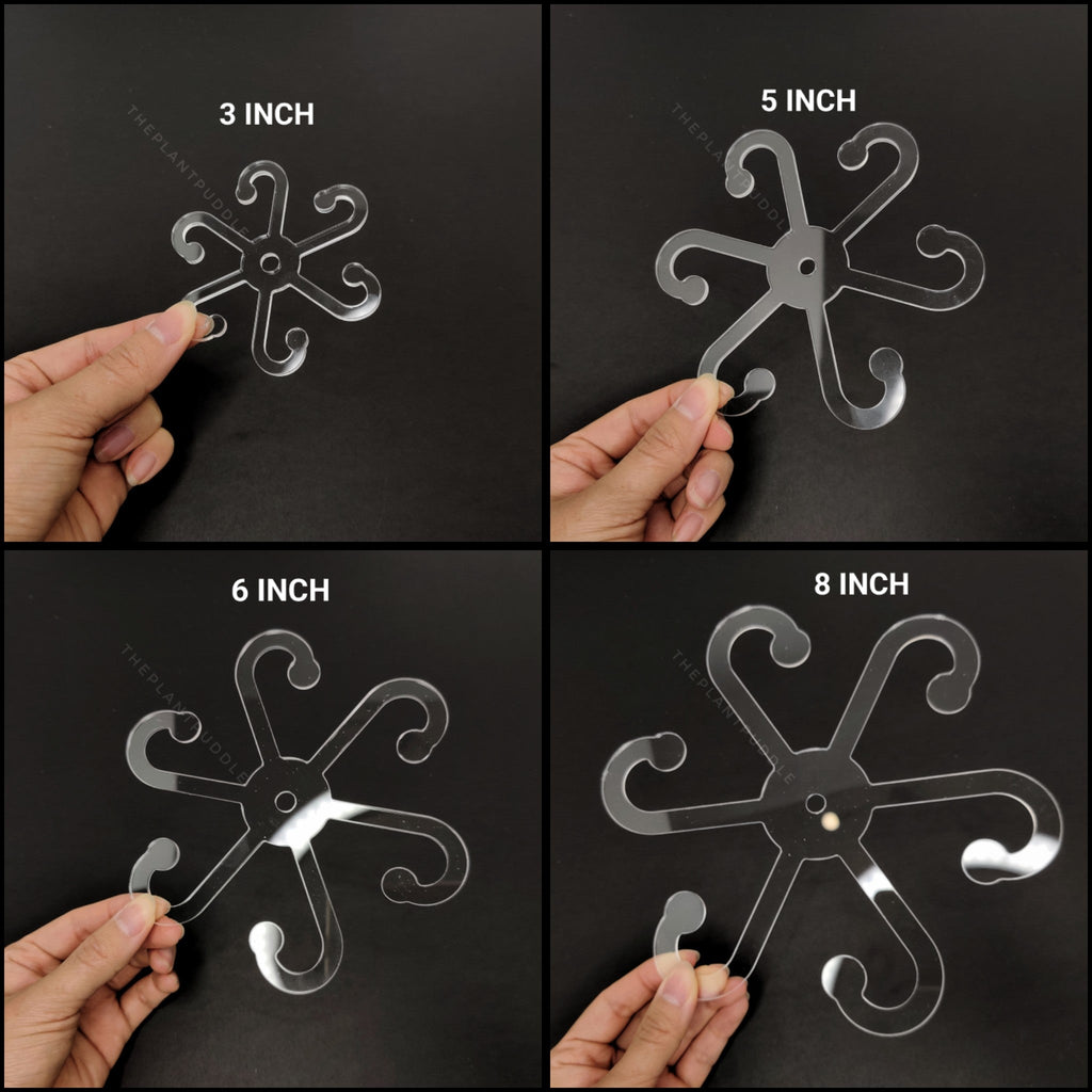 Plant Stem Holder | Supports 6 Petioles