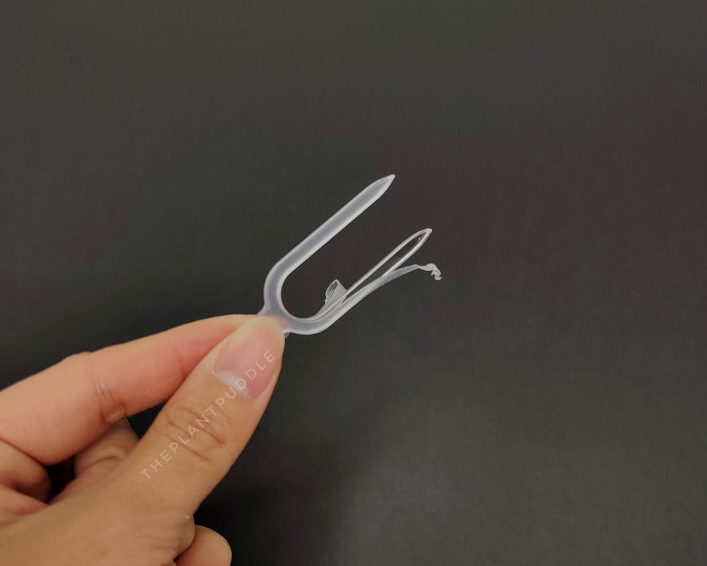 Acrylic Propagation Pins | Super Clear