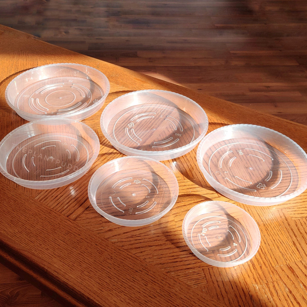 Round Plant Pot Saucers | Durable Translucent Plastic