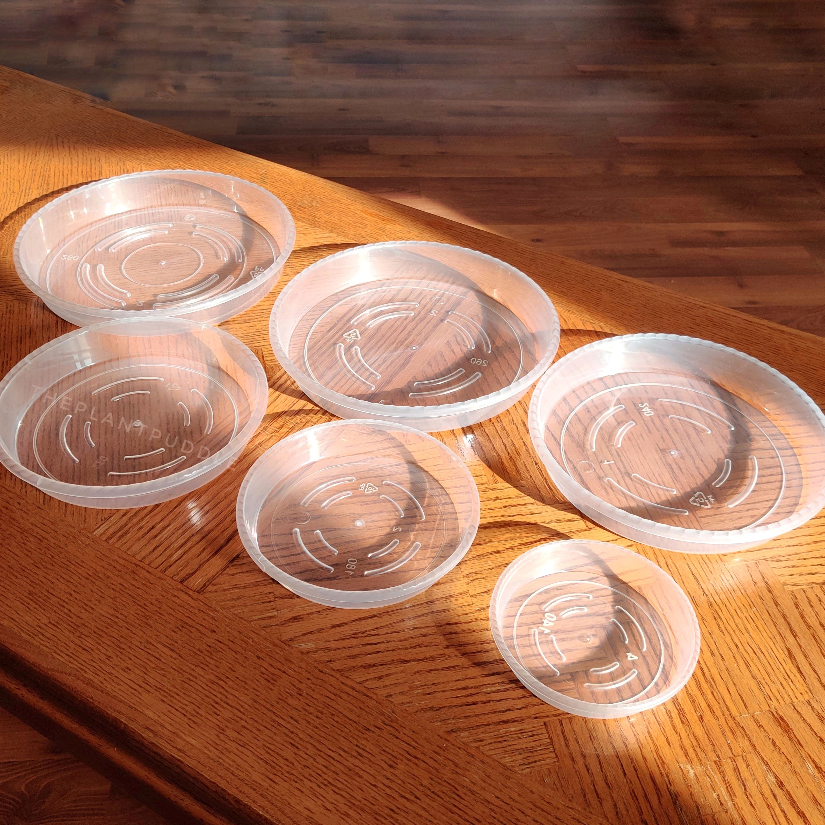 Round Plant Pot Saucers | Durable Translucent Plastic