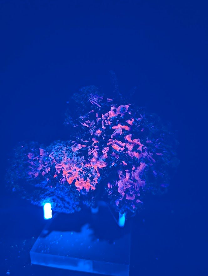 Red Hematite + Quartz with Pyrite | Specimen | UV Reactive | China