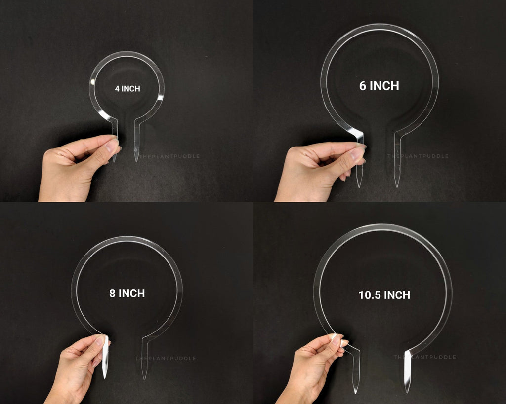 Circle Trellis | Super Clear and Durable