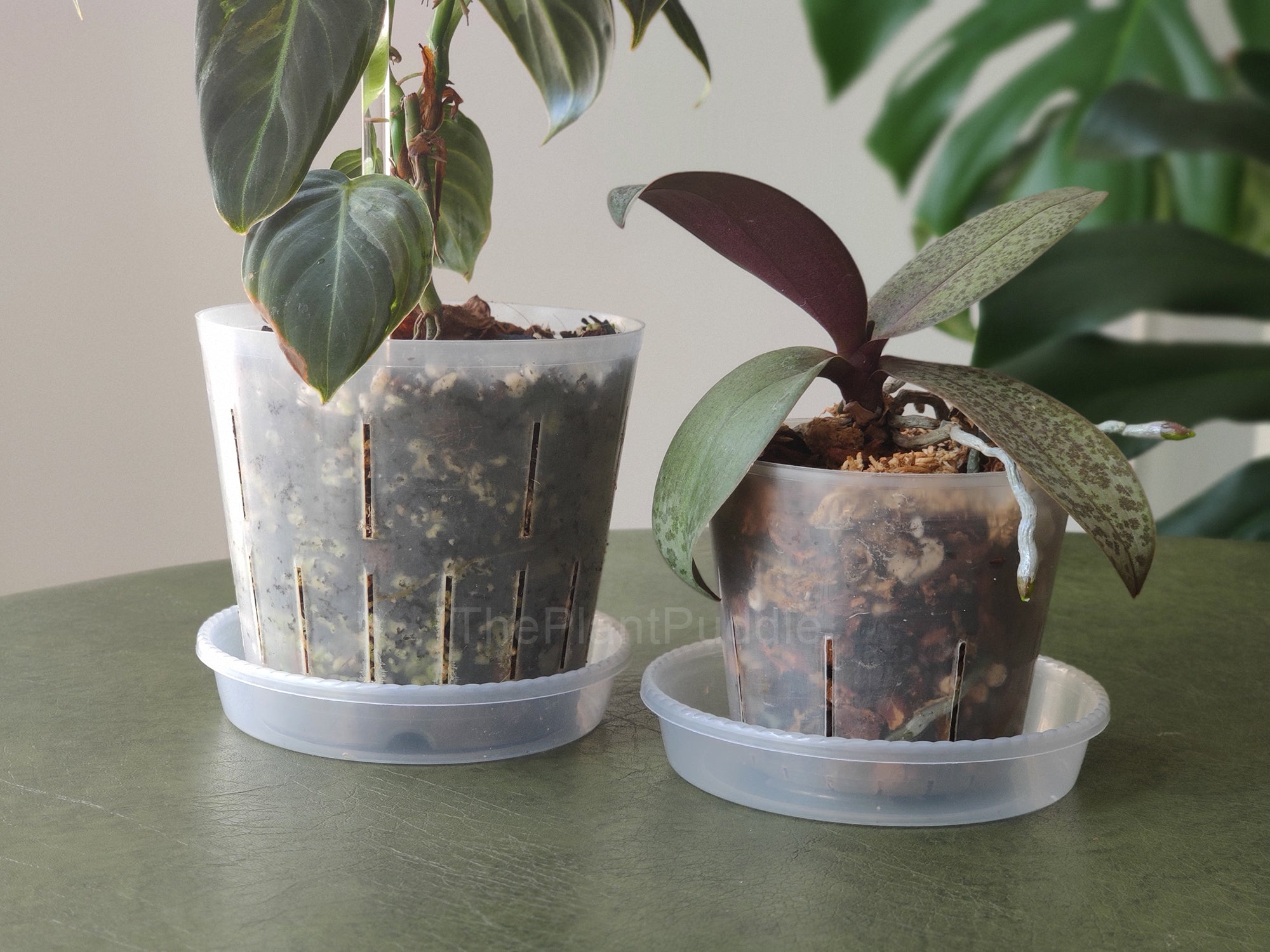 Round Plant Pot Saucers | Durable Translucent Plastic