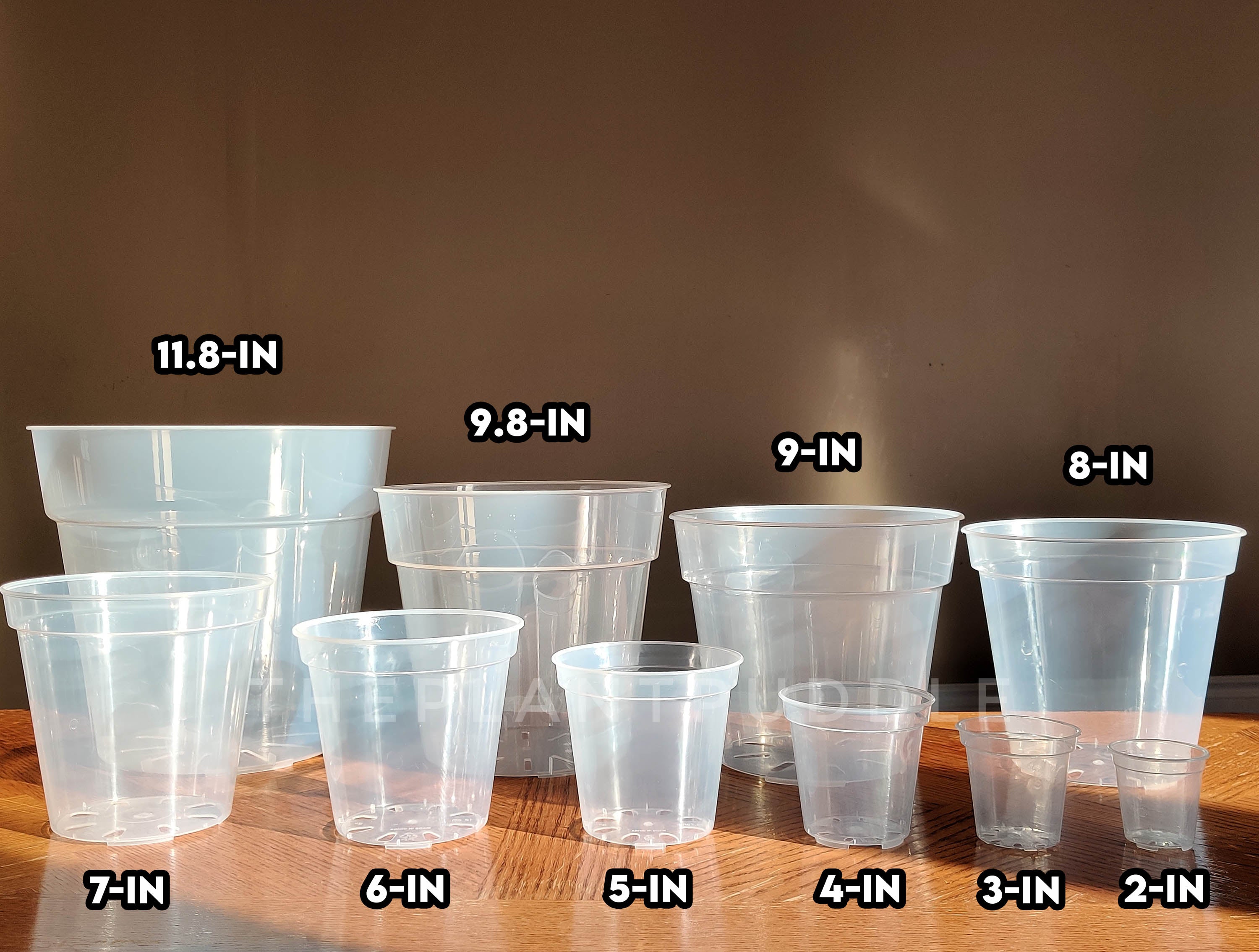 Round Clear Plant Pot | 10 Sizes with Drainage