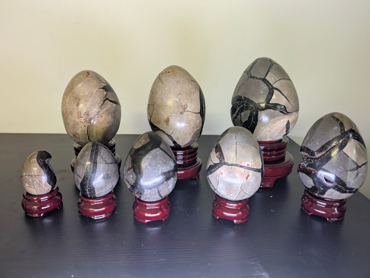 Septarian Dragon Eggs | Hand Polished