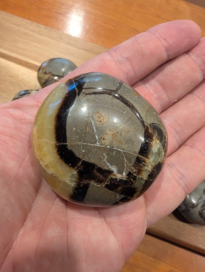 Septarian "Dragon Stone" | Palm Stones | Madagascar