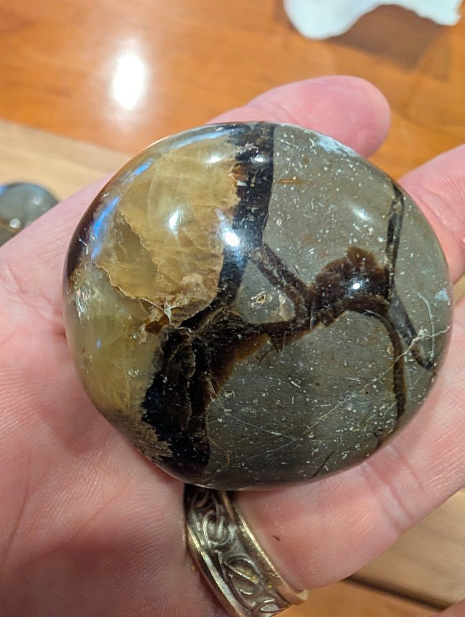 Septarian "Dragon Stone" | Palm Stones | Madagascar
