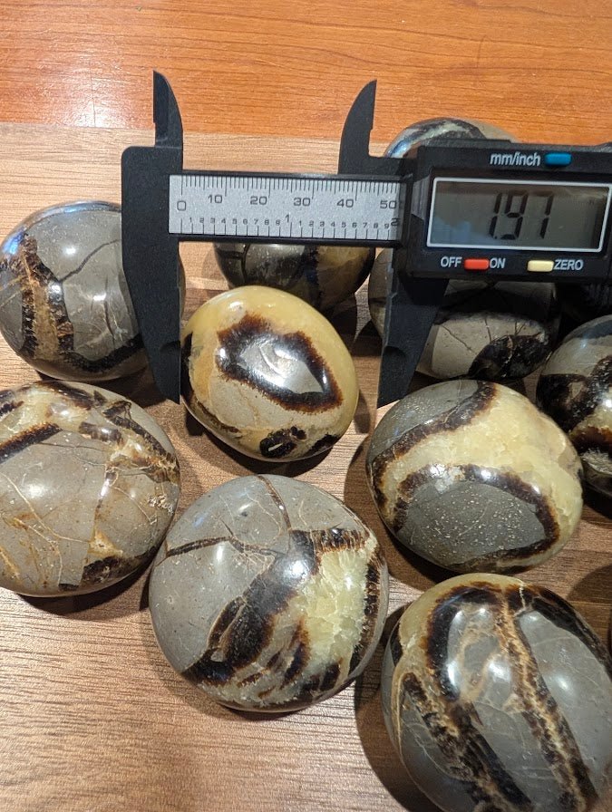 Septarian "Dragon Stone" | Palm Stones | Madagascar