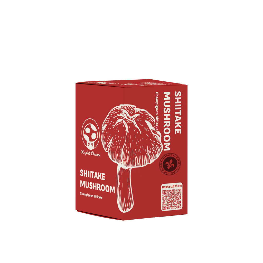 Shiitake | Mushroom Kit