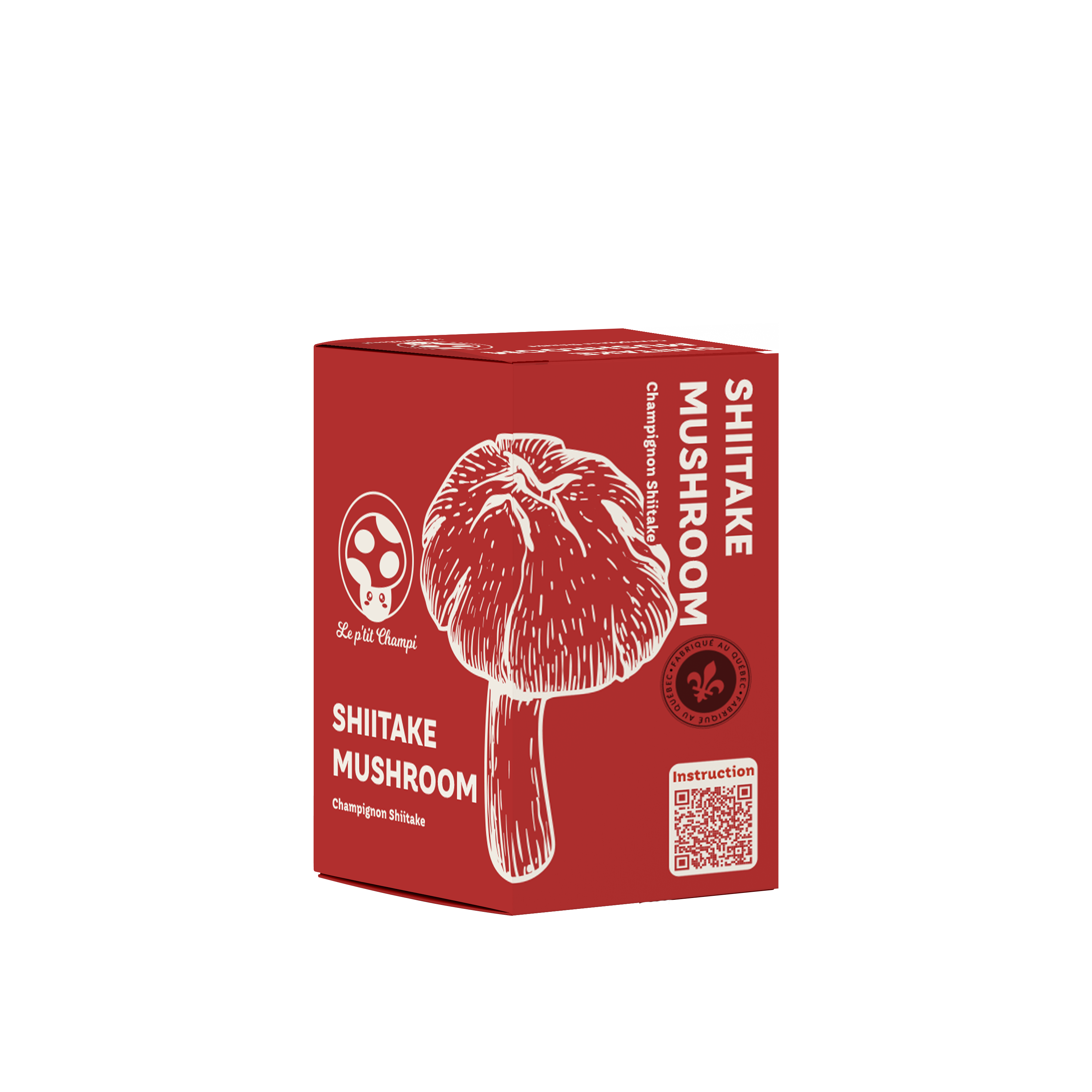 Shiitake | Mushroom Kit