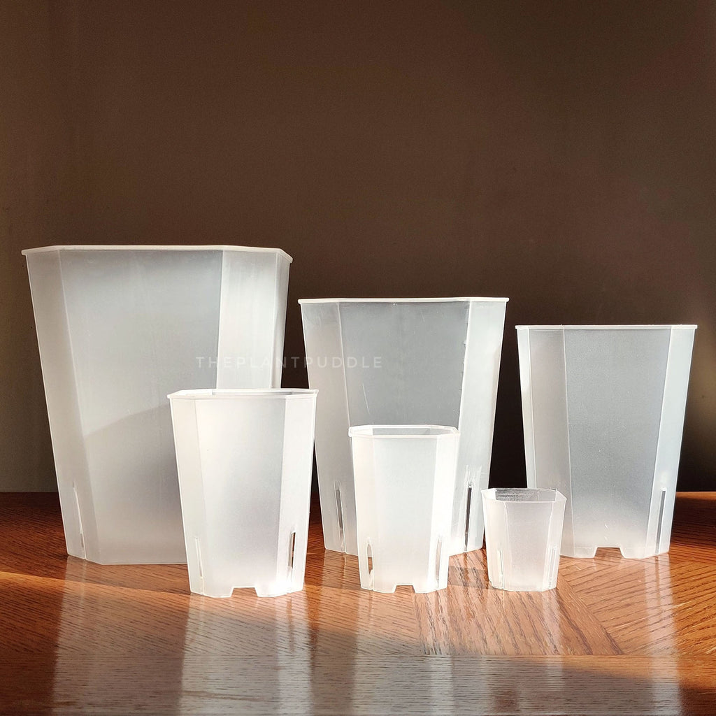 Square Frosted Plant Pot | High Drainage and Easy to Organize