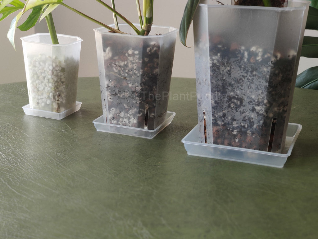 Square Plant Pot Saucers - Organize Your Plant Space