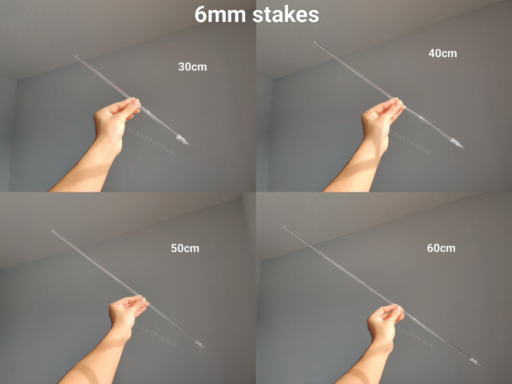 Straight Plant Stakes | 6mm and 8mm Clear Acrylic