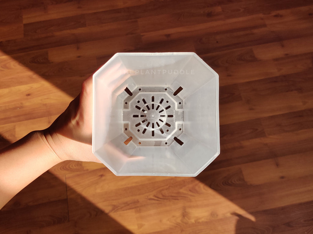 Square Frosted Plant Pot | High Drainage and Easy to Organize