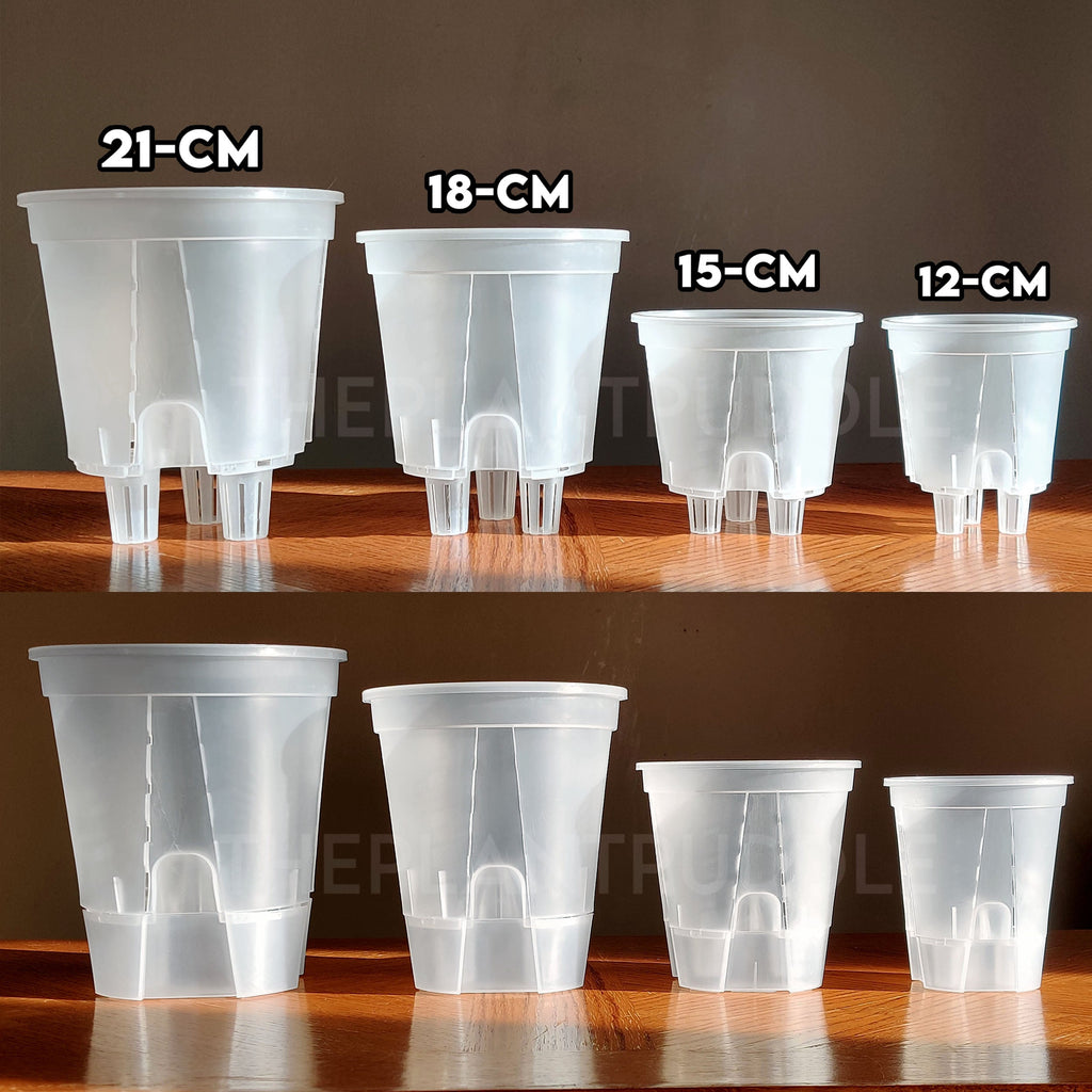 Self Watering Plant Pot | Simplify Your Plant Care