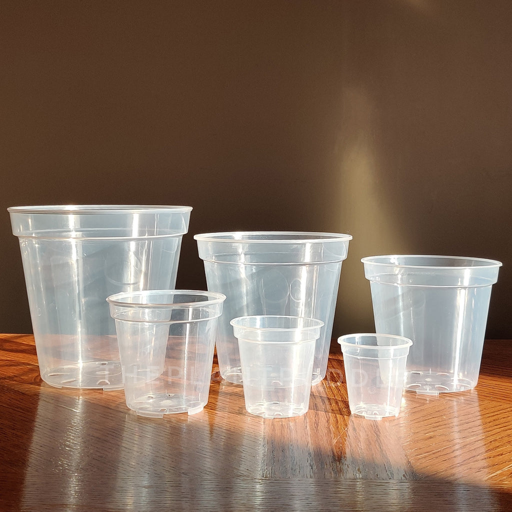 Round Clear Plant Pot | 10 Sizes with Drainage