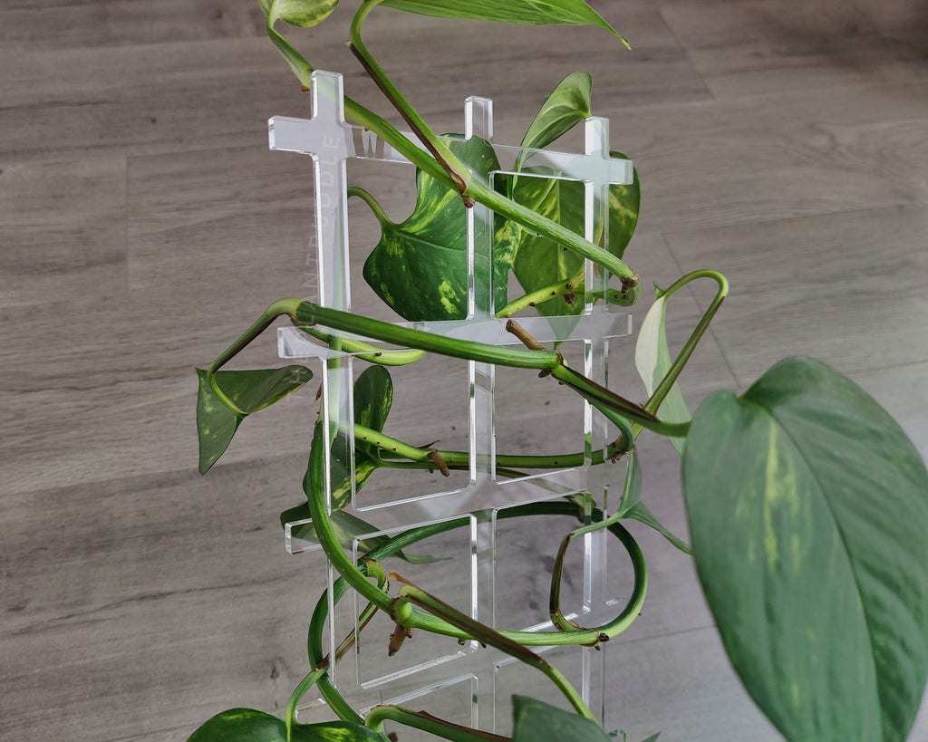Fence Lattice Plant Trellis | Super Clear Acrylic