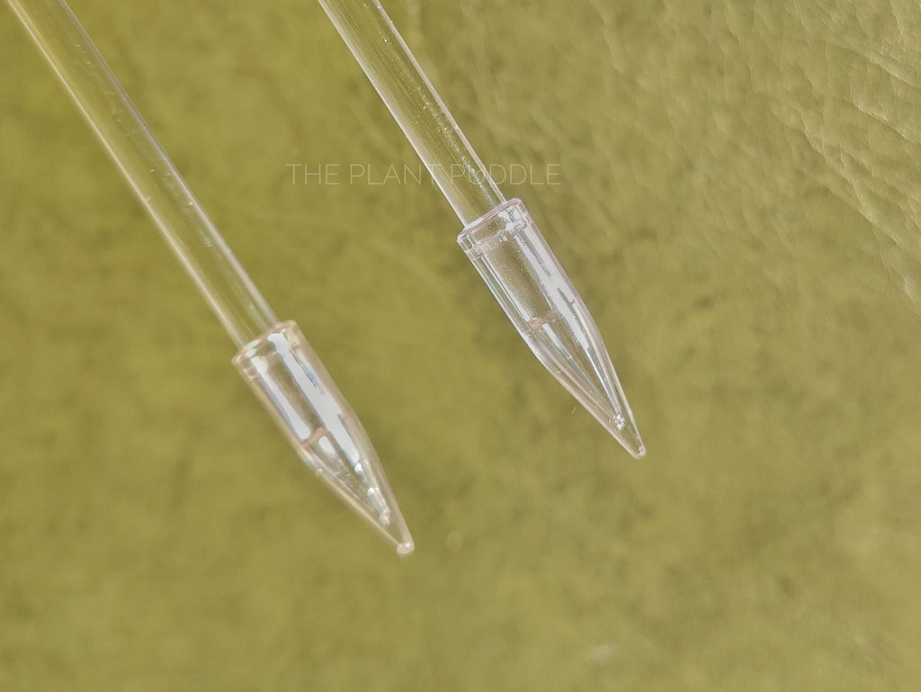 U-Shaped Trellis | Super Clear, Removable Anchors