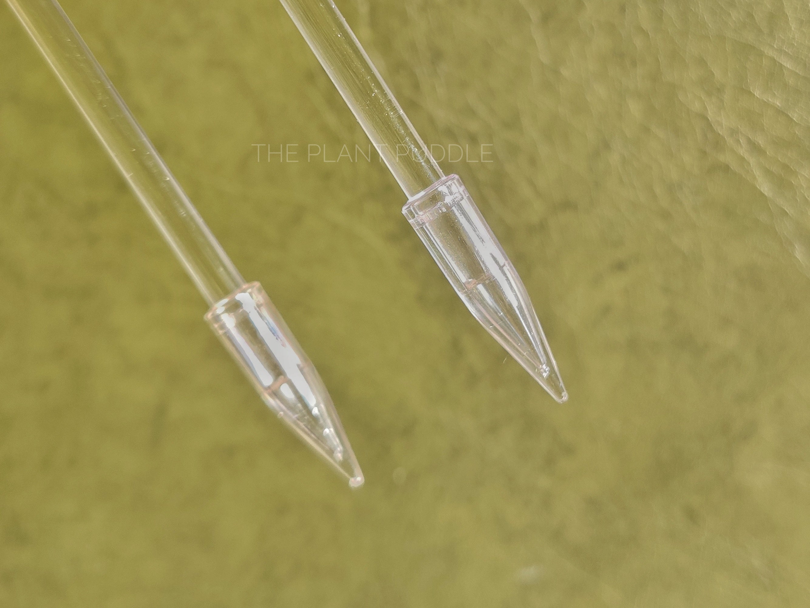 U-Shaped Trellis | Super Clear, Removable Anchors