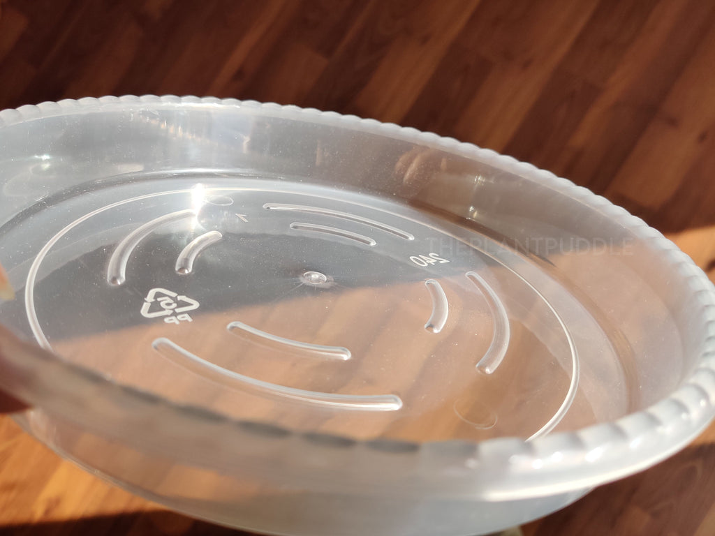 Round Plant Pot Saucers | Durable Translucent Plastic